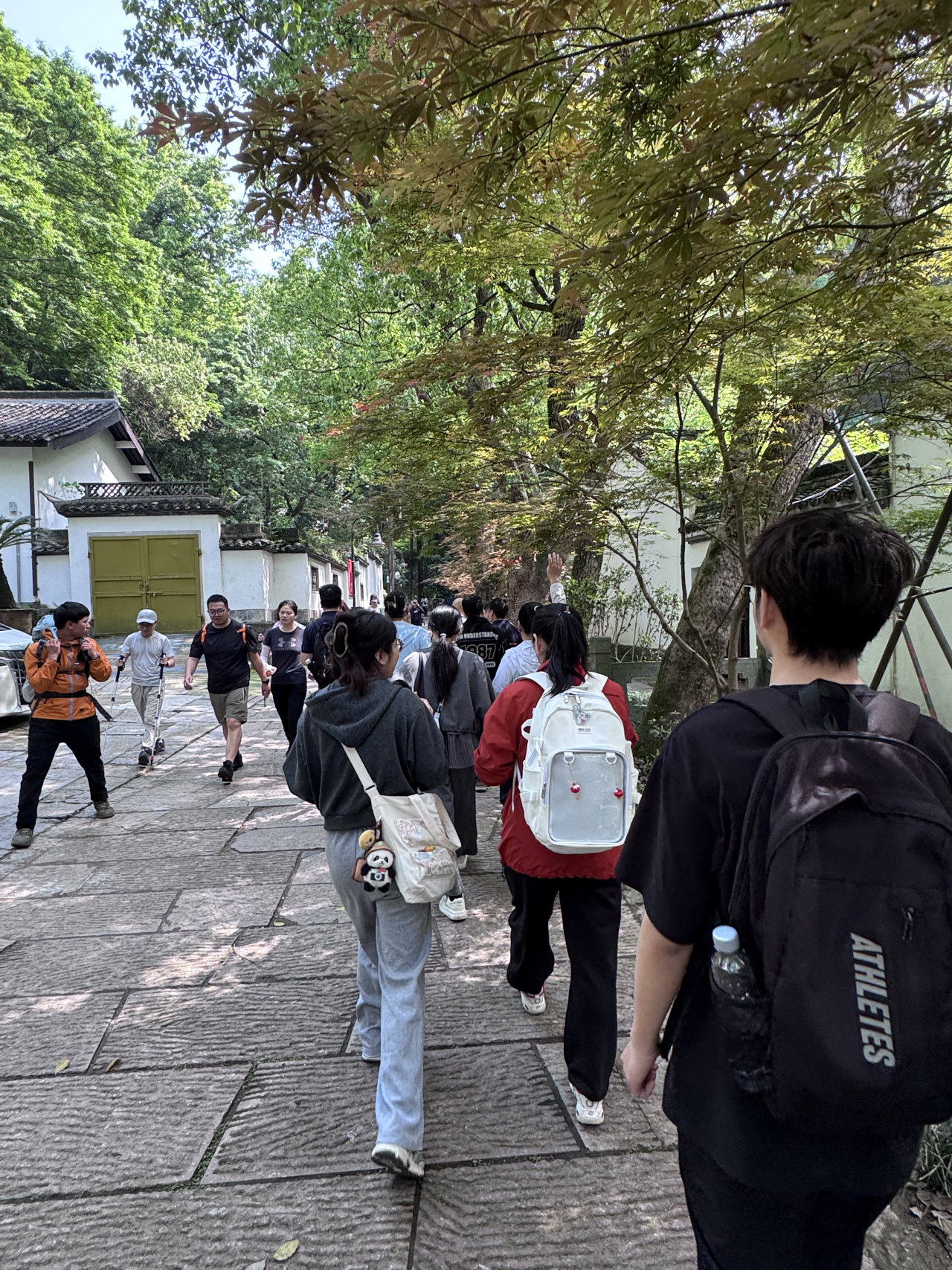 图片7.png